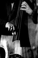 DIG_3573
