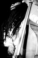 Ravi Coltrane 2012-0203