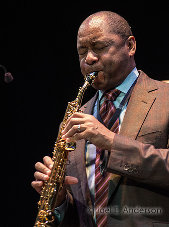 2015-Branford Marsalis Quartet-5349