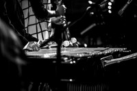2016 Tim Warfield-0577
